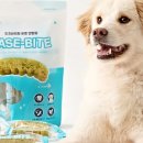 우리덴탈 이미지