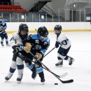 ‘빙판 위 열전’ 소양강배 전국 유소년 아이스하키대회 이미지