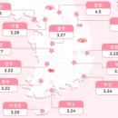 카앤카즈렌트랑리스랑 네이버블로그