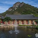 장성