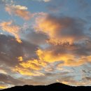 노을농장 이미지