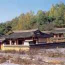 유정목재