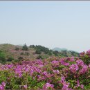 제암산등산로 이미지