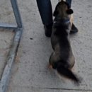 만대식당 이미지