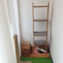 월드애견미용실 이미지