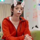 대동씨코아사우나(여) | 워홀 3주차 - 5박 6일? 도쿄여행