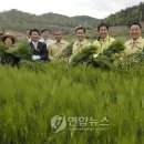 청보리축산 이미지