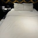 가성비 호텔] 잠실새내, 잠실 종합운동장 근처 Hotel Foresta 호텔 포레스타 잠실새내, 내돈내산 솔직후기