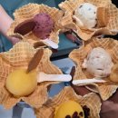 SK에너지(주)코끼리주유소 | [대만] '짱구 팝업, 대만 맛집 소개' 인데 내가 안간 여행 대신 소개