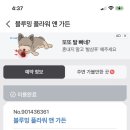 블루밍 플라워 앤 가든 이미지