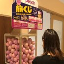 뽑기한판 이미지