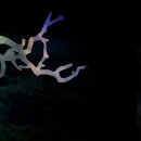 창작오페라 금지옥엽 이미지