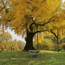 만영농장 이미지