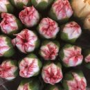 벼리농장 이미지