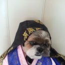 강씨네