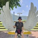 평화길 이미지