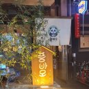 [안산::중앙동] 안산 중앙동 신상술집 풍바오 | 안산 풍바오 후기(메뉴/주차/시간)