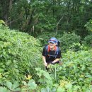 가야고등학교 이미지