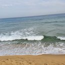 공동정호 | 요즘 잘못 알고 있는 유학 -유학의 개론과 속성