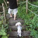 위봉민박 이미지