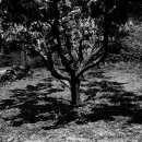 최북미술관 이미지