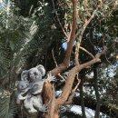 에코리움 | 겨울 군산 서천 여행 국립생태원 에코리움 숙소 후기