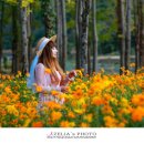 산골정경로당 이미지