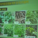 레이호 이미지