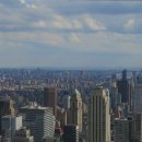 엔젤 식물원 이미지