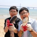 부산활어 이미지