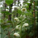 방아다리 주유소 이미지