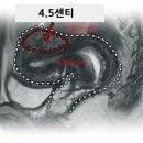 안양경희한의원 이미지