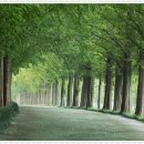 홍제으뜸경희한의원 이미지