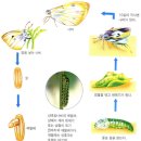 부천자연생태공원(식물원,박물관) 이미지