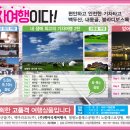 국제여행사 이미지