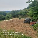 박영태농장 이미지