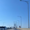 길농원 | [충남 당진]푸르미르관광농원 재방문 후기,곡교천 은행나무 길