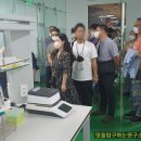 다우피드 이미지