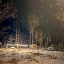 영월스키 | 평창 라플란드 캠핑장 5성급 캠핑 개별화장실 샤워실 D1 사이트 후기