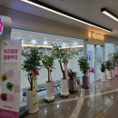 세종365약국 이미지