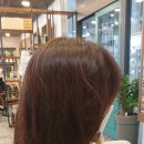 윤스헤어 - 남구 | 윤스헤어