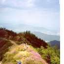 19990505-지리산-바래봉 이미지