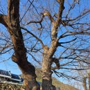 전천 경로당 이미지