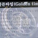 골든피누스 이미지