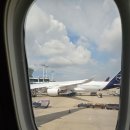 블랙벨트 월드 태권도 | 주짓수인이라면 커리어에서 한 번은, 시합이 아닌, 참관 목적이라도 월드마스터/주짓수컨 가보세요.