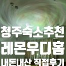 레몬우디홈 | [청주 숙소 추천] 감성 한도 초과인 '레몬우디홈' 내돈내산 대만족 리뷰