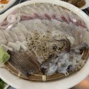 싱싱산오징어 이미지