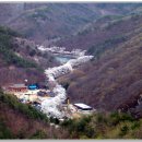 제111차 정기산행 벗꽃축제(2010.04.24) 이미지