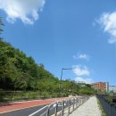 구립맑은숲 어린이집 이미지