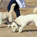 송강동물병원 이미지